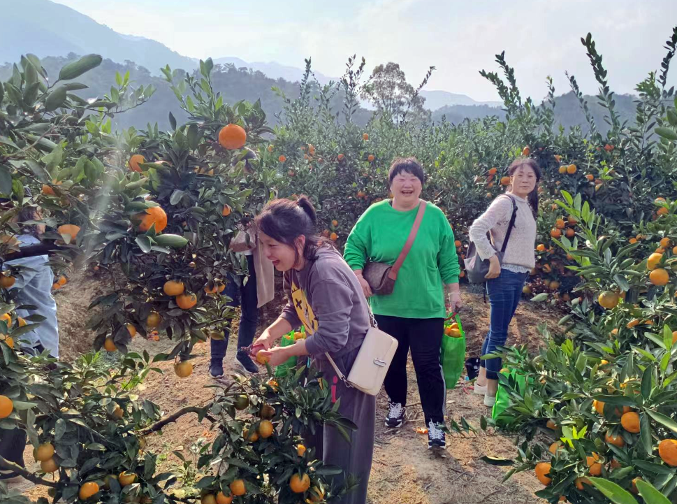 九江長(zhǎng)運(yùn):客運(yùn)中心公司開展戶外拓展團(tuán)建活動(dòng)